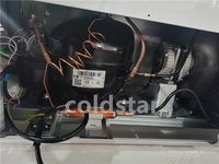 Congélateur coffre commercial à double porte vitrée coulissante, refroidissement par ventilateur, vitrine à crème glacée avec éclairage LED intérieur, corps en acier