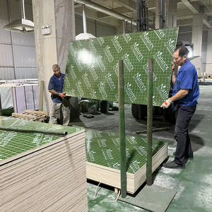 Proveedor de madera contrachapada con película de plástico <span class=keywords><strong>verde</strong></span> PP, madera contrachapada chapada/madera laminada/chapa de película <span class=keywords><strong>verde</strong></span> para encofrado de edificios marinos - Product Image 5