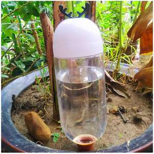 Système d'arrosage automatique pour plantes et fleurs, système d'irrigation goutte à goutte domestique, arrosoir pour plantes succulentes, outil d'arrosage sans effort - Product Image 5