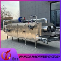 Gloednieuwe stoomverwarmde continue transportbanddroogmachine voor fruit en groenten