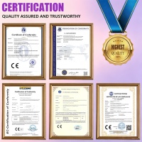 Mesin Estetika Wajah Profesional dengan Mikro-pin, Pengencangan Wajah, Pengerasan Kulit & Peremajaan Kulit, Peralatan Salon