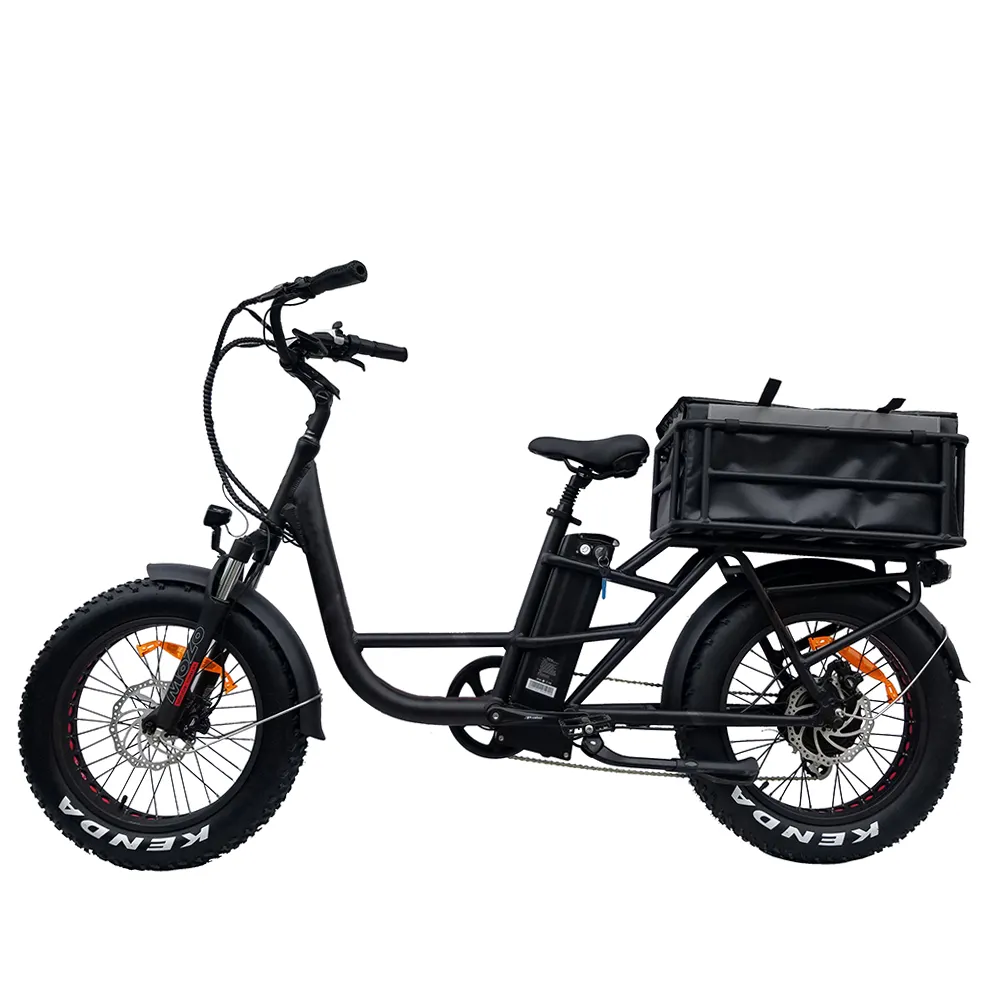 Eshion 48V500W इलेक्ट्रिक बाइक Bafang रियर ड्राइव मोटर बिजली साइकिल उच्च गुणवत्ता 20 "इंच वसा पहिया ई बाइक