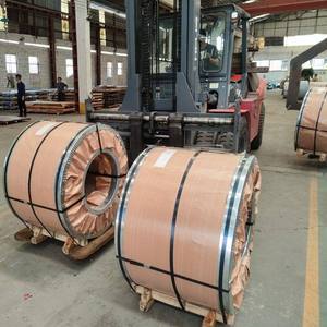 Directo del fabricante 0,52mm espesor Gi bobina sumergido en caliente Sgcc Regular lentejuela laminado en frío bobinas de acero galvanizado hojas de corte - Product Image 6