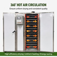 Machine industrielle de séchage des baies et des raisins, déshydrateur à air chaud en acier inoxydable pour myrtilles, canneberges et fruits