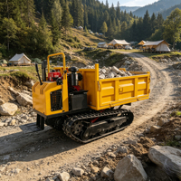 Mini-tracteurs Ruibote, moteur diesel, pompe hydraulique, boîte de vitesses, roulement, chenilles en caoutchouc, robustes, tout-terrain, pour ferme et jardin, 1T Gear