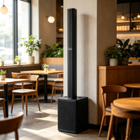 Sistema de Altavoces de Columna Activos Integrados de 500W con Unidades de 8x3 Pulgadas, Madera Contrachapada de Abedul, Poliurea, BT 5.2 TWS, Diseño Delgado, Negro Mate