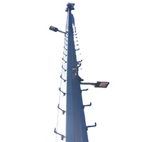 Tour de télécommunication monopôle galvanisée de 30 m à technologie professionnelle pour site de réseau 5G urbain
