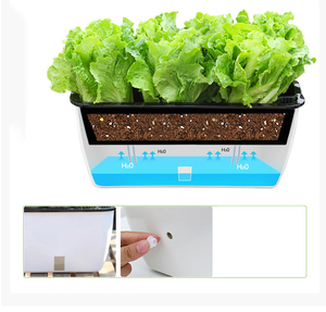 SQ36 <span class=keywords><strong>Jardinière</strong></span> rectangulaire en plastique grande taille pour <span class=keywords><strong>balcon</strong></span> familial, pot de fleurs à arrosage automatique, idéal pour fraises et légumes - Product Image 4