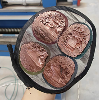 Cable YJV 0.6/1kV, Cable de Cobre con Aislamiento de Polietileno Reticulado, Apto para Aplicaciones en Edificios e Industrias