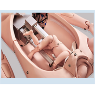 Maniquí Obstétrico para Parto, Simulador de Parto, RCP Materna, Reanimación Neonatal, Modelo de Enseñanza para Hemorragias Posparto