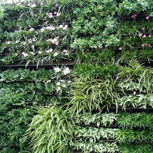 Jardinera Vertical de Alta Calidad Fabricada en China en 2018, Jardinera Vertical para Jardín Vertical - Product Image 6