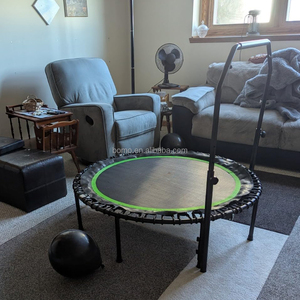 Cama Elástica Zoshine de Alta Calidad para Uso Doméstico, Adultos y Niños, Silenciosa, Plegable, con Reposabrazos Redondos, Trampolín Deportivo para Fitness - Product Image 2