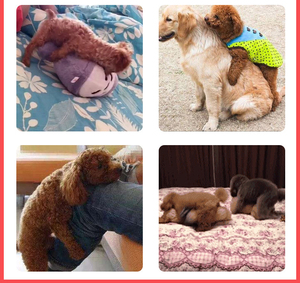 Sıcak satış çevre dostu karikatür köpek seks köpekler için oyuncak Pet seks oyuncakları - Product Image 6