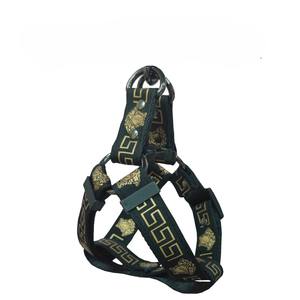 Luxuriöses Verstellbares Hundehalsband-Leine-Geschirr-Set aus Polyester für Kleine, Mittlere und Große Hunde mit Knopfverschluss im Modischen Stil - Product Image 2