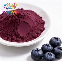 Fabriekslevering 100% natuurlijke bosbessen anthocyanine 25% bosbessen fruitpoeder