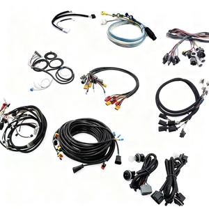 Faisceau de câblage électrique automobile personnalisé PVC cuivre étamé pour moteurs de générateurs de motocycles-câble LVDS fabriqué - Product Image 2