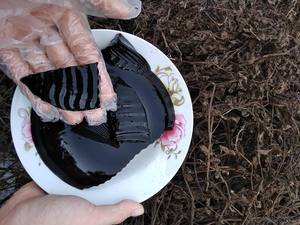 HOT Vietnam 2023 herbe gelée-gelée d'herbe - Product Image 4