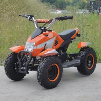Mini buggy de plage pour enfants en résine, moto tout-terrain 49CC/50CC à quatre roues, véhicule tout-terrain à essence pour l'extérieur