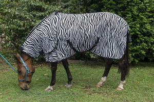 Couverture d'été pour cheval, directement de l'usine, en polycoton doux et polaire, motif à carreaux, légère, pour dressage et entraînement - Product Image 2
