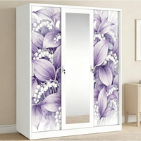 Armoire métallique imprimée, armoire de rangement en acier, placard modulaire anti-termites, durée de vie de 10 ans pour l'utilisation dans les dortoirs scolaires
