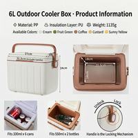 Glacière isotherme portable en plastique de 6 L, grande glacière pour le camping, les voyages, les pique-niques, le stockage des aliments et des boissons, vente en gros, logo personnalisé