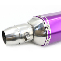 Ixil échappement moto violet db killer échappement petit silencieux de moto pour Z250 Z900 K8 ER6N FZ1 R1 R6