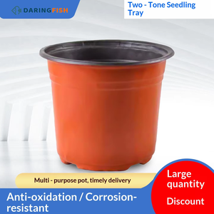 DaringFish Vente en gros de pots de semis jetables en <span class=keywords><strong>plastique</strong></span> PP souple bicolore avec un design moderne - Product Image 4
