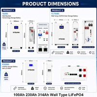 Série de batteries solaires résidentielles Hysonn 51,2 V 100 Ah 230 Ah 314 Ah type mural LiFePO4 pour installateurs et distributeurs OEM ODM