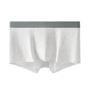 Stock disponible : Caleçons boxers en coton pour hommes, séchage rapide, pour clients professionnels mondiaux - Product Image 5