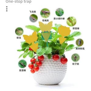 Piège collant en forme de papillon jaune pour les mouches des fruits dans les plantes du jardin, plaque de contrôle des parasites jetable en papier - Product Image 2