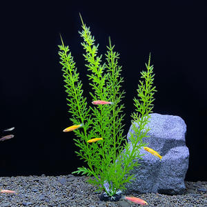 Landschapsarchitectuur <span class=keywords><strong>Aquarium</strong></span> Accessoires Groothandel <span class=keywords><strong>Aquarium</strong></span> Decor Goedkope <span class=keywords><strong>Aquarium</strong></span> Planten - Product Image 2