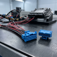 Câble de connexion Micro Quadlok TE MQS 0,64 mm, faisceau de câblage 20 broches pour ECU automobile et recharge de véhicules électriques