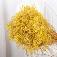 50pcs Rumput Pampas Kering Buatan Tangan, Bunga Baby's Breath Asli, Tahan Lama, Untuk Karangan Bunga Pernikahan, Natal, Hari Ibu