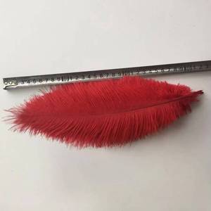 Plumes d'autruche douces de 30-35 cm, teintes en rouge, blanchies, aux couleurs vives, pour cosplay, carnaval, mascarade, Halloween, Noël, costumes et masques - Product Image 6