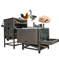 Équipement d'abattage de volaille |   Machine à plumer et à échauder les poulets