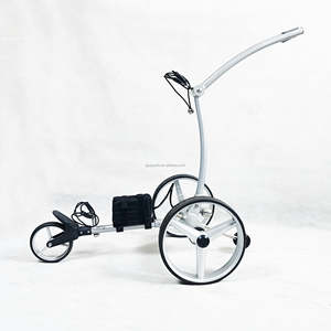 Proveedor de Carritos de Golf Eléctricos - Product Image 2