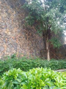 Precio al por mayor Piedra de <span class=keywords><strong>lava</strong></span> natural Roca volcánica grande en venta - Product Image 6