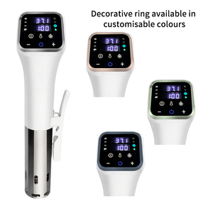 Machine à sous-vide en acier inoxydable RSV11/12W, Wi-Fi, électrique, pour la maison, <span class=keywords><strong>mijoteuse</strong></span> à steak, 1100W, 4-32L, classe énergétique efficace - Product Image 4