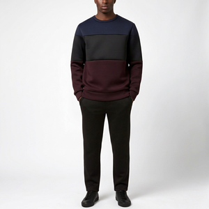 Sweat-shirt unisexe à col rond en molleton de coton écologique de qualité supérieure, coupe classique, décontracté, chaud, service OEM, vêtements d'hiver - Product Image 1