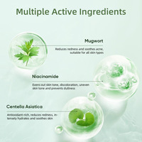 Masque en bâtonnet à la boue d'armoise, nettoyage en profondeur, contrôle du sébum, traitement de l'acné, acide salicylique, niacinamide, masque facial à base de plantes, élimine les peaux grasses