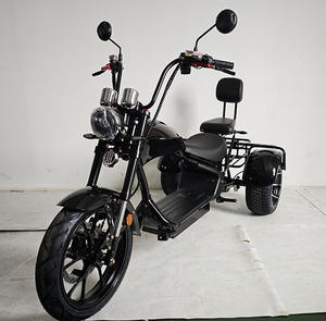 Batería para Triciclo Eléctrico de <span class=keywords><strong>Tres</strong></span> <span class=keywords><strong>Ruedas</strong></span>, Precio de Fábrica, para Motocicleta Eléctrica, Citycoco - Product Image 4