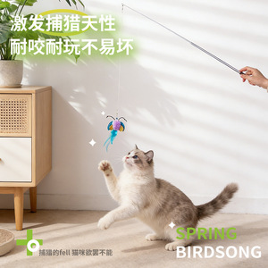 Ce jouet pour chat est doté d'une poignée télescopique, d'une tête longue, durable et résistante aux morsures, et de têtes interchangeables. Il est conçu pour - Product Image 2