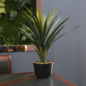 Planta barata para centro comercial, venta directa de fábrica, supermercado, sisal de imitación, cáñamo, plantas de <span class=keywords><strong>agave</strong></span> artificiales, 2021 - Product Image 5