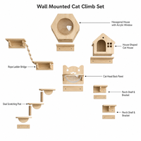 Ensemble d'escalade mural pour chat en bois, étagères murales pour chat, griffoir en sisal, pont en corde avec fenêtre en acrylique pour chats d'intérieur