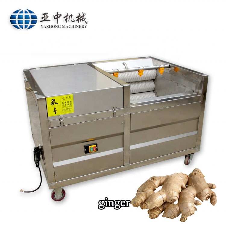 Lavadora industrial para jengibre y zanahorias, lavadora para vegetales y pelador