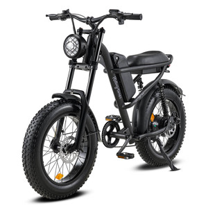 Vélo électrique de 20 pouces à moteur 250W, V8 d'origine, vélo tout-terrain à 7 vitesses, à gros pneus, de 48V et 15Ah, entrepôt européen - Product Image 1