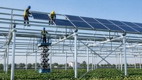 Système de montage de panneaux solaires photovoltaïques verticaux optimisé pour les clôtures de pâturages, permettant de gagner en surface pour les fermes solaires