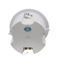 Haut-parleur encastré professionnel 110V pour sonorisation publique, 30W, pour musique d'ambiance commerciale, idéal pour hôtels, écoles, bureaux