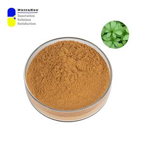 Экстракт гиностеммы пентафиллум премиум-класса 80% гипенозидов | Натуральный адаптоген и антиоксидант - Product Image 4