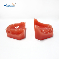 Modelo de mandíbula edéntula completa, modelo de hueso alveolar atrófico superior e inferior para entrenamiento de prótesis dentales completas, CE/ISO/ROHS/CNAS